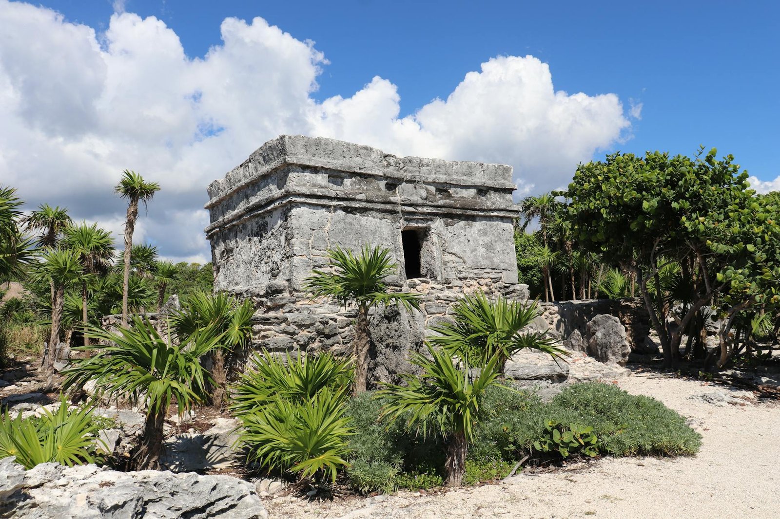 Day Zero Tulum