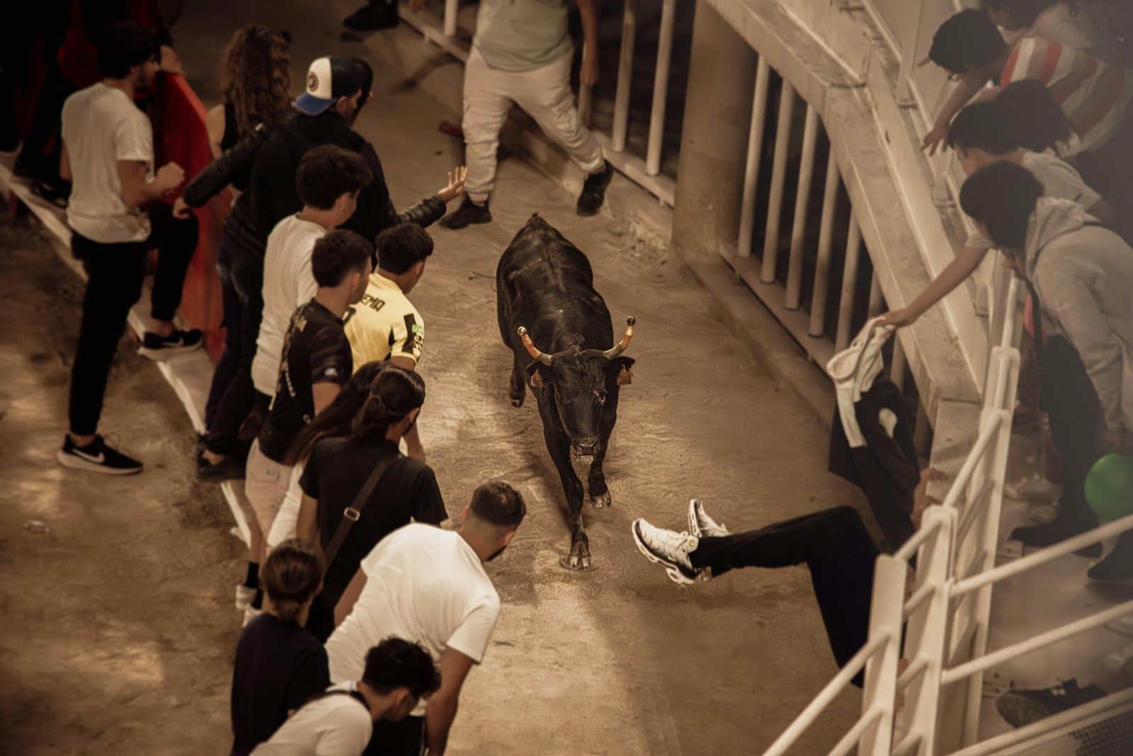 San Fermin / Running of the Bulls